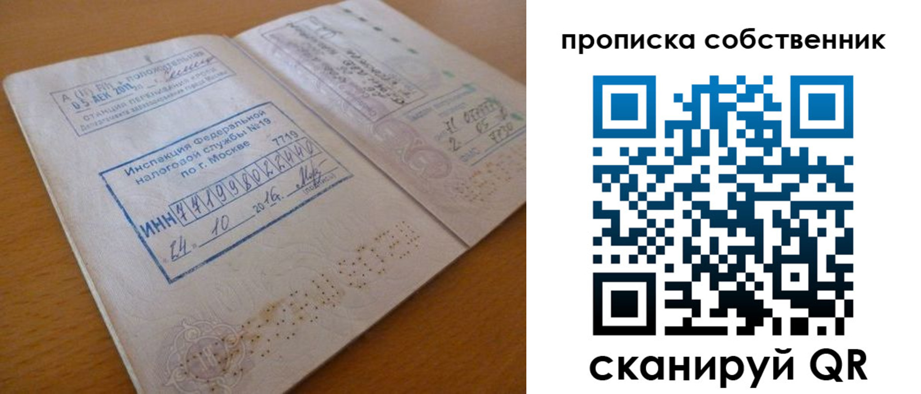 прописка для школы в Выборге